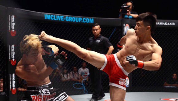 Mixed Martial Arts.jpg