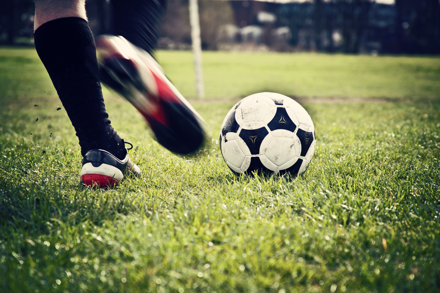 o-SOCCER.jpg