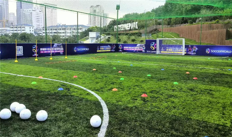 soccerworld.jpg