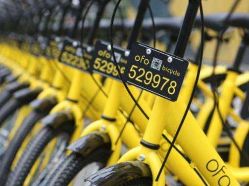 ofo.jpg